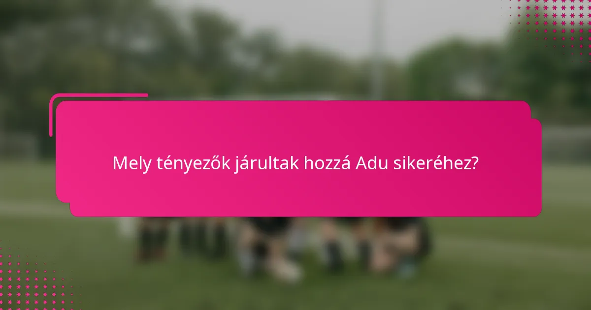Mely tényezők járultak hozzá Adu sikeréhez?