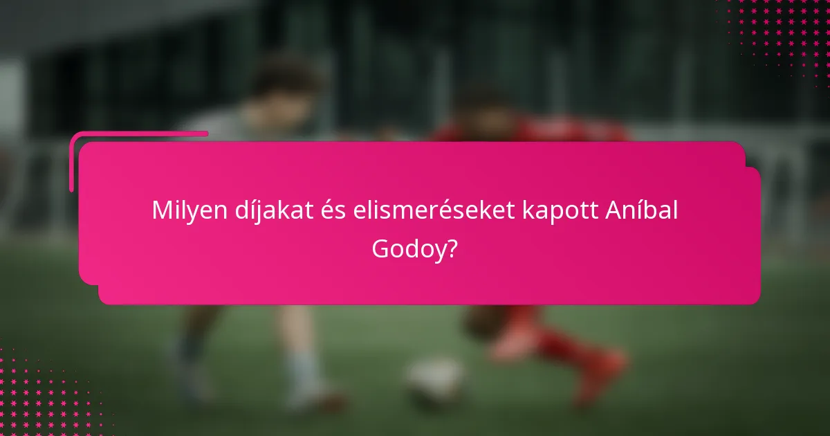 Milyen díjakat és elismeréseket kapott Aníbal Godoy?