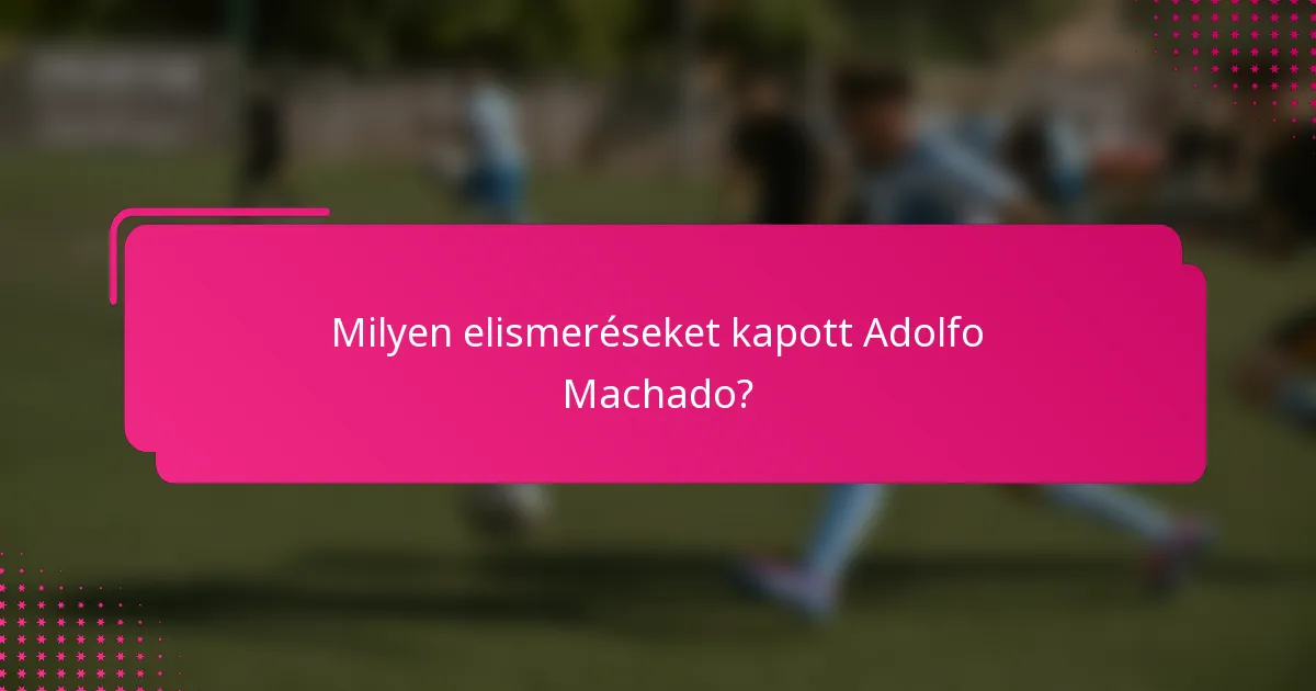 Milyen elismeréseket kapott Adolfo Machado?